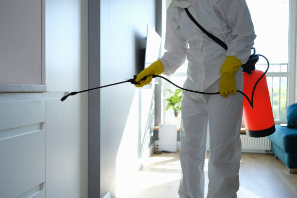 Best Mold Cleaning Services  in USA